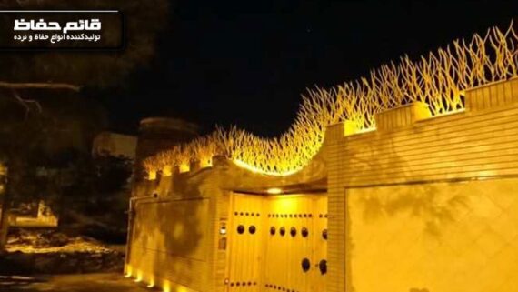 حفاظ شاخ گوزنی و نورپردازی | حفاظ شاخ گوزنی | حفاظ روی دیوار