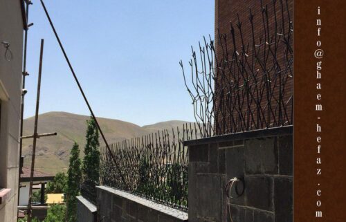 حفاظ شاخ گوزنی